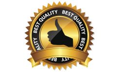 The Problem with Quality